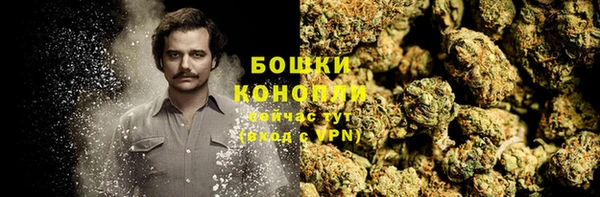 трава Новокубанск